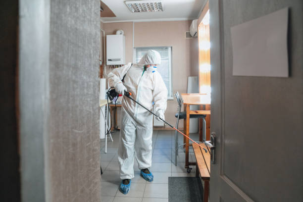 Best Commercial Mold Inspection  in Welcome, NC
