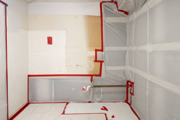 Best Mold Documentation for Insurance Claims  in Welcome, NC
