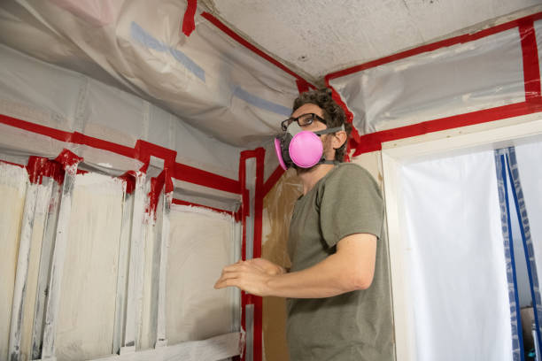 Best Asbestos and Lead Testing During Mold Inspection  in Welcome, NC