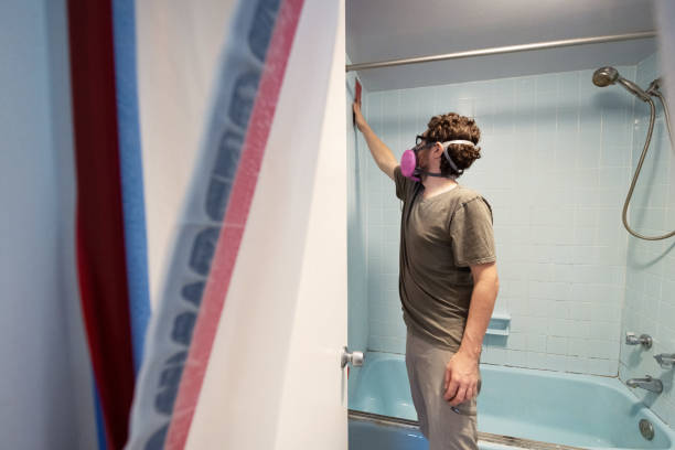 Welcome, NC Mold Removal Company