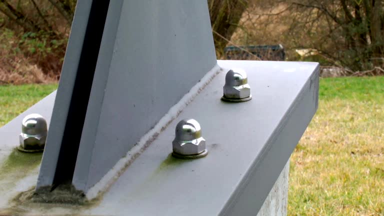 Best Post-Construction Mold Inspection  in Welcome, NC